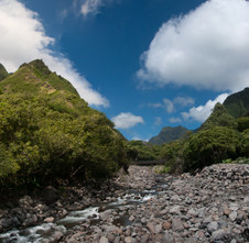 Enlarge photo 110
