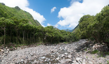 Enlarge photo 109