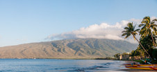 Enlarge photo 59