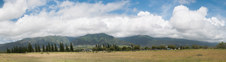 Enlarge photo 179