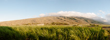 Enlarge photo 182