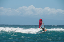 Enlarge photo 146