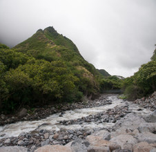 Enlarge photo 164