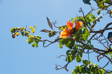 Enlarge photo 30
