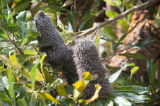 Enlarge photo 17