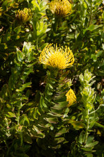 Enlarge photo 20
