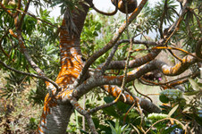 Enlarge photo 21