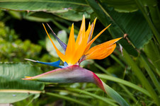 Enlarge photo 22