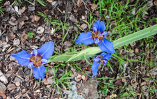 Enlarge photo 24