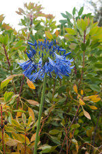 Enlarge photo 28