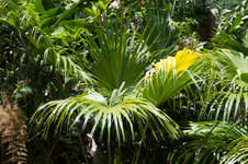 Enlarge photo 8