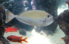 Enlarge photo 20