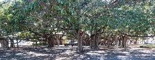 Enlarge photo 46
