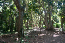 Enlarge photo 89