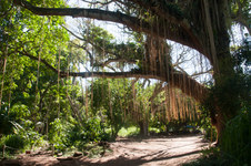 Enlarge photo 10