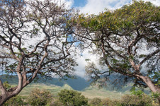 Enlarge photo 90