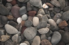 Enlarge photo 44