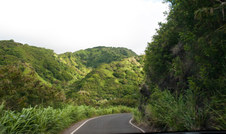 Enlarge photo 35