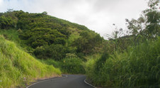 Enlarge photo 36