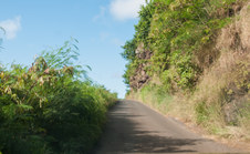 Enlarge photo 33