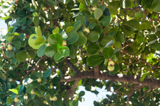 Enlarge photo 51