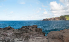 Enlarge photo 91