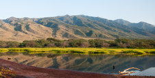 Enlarge photo 62