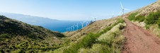 Enlarge photo 86