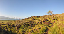 Enlarge photo 81