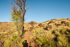 Enlarge photo 83