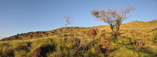 Enlarge photo 82