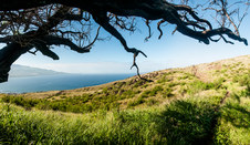 Enlarge photo 85