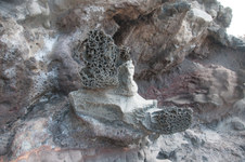 Enlarge photo 25