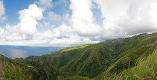 Enlarge photo 68