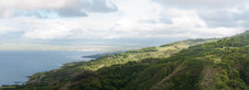 Enlarge photo 70