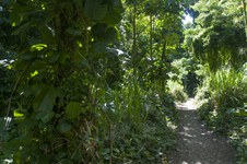 Enlarge photo 15