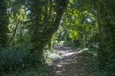 Enlarge photo 12