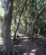 Enlarge photo 14