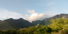 Enlarge photo 66