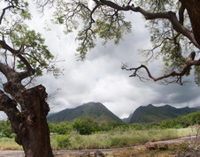 Enlarge photo 73