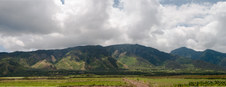 Enlarge photo 63