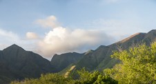 Enlarge photo 39