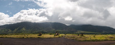 Enlarge photo 65