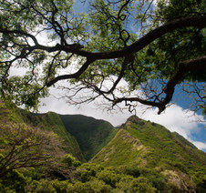 Enlarge photo 64