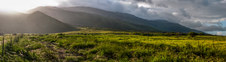 Enlarge photo 59