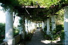 Enlarge photo 3