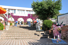 Enlarge photo 6
