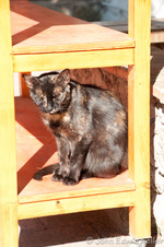 Enlarge photo 20