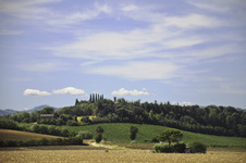 Enlarge photo 2