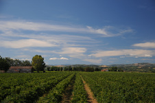Enlarge photo 4